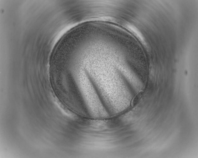 X0000088731332200706141628
