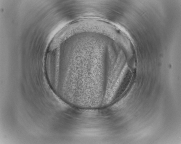 X0000088731333200706141628