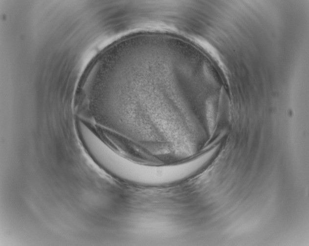 X0000088731335200706141628