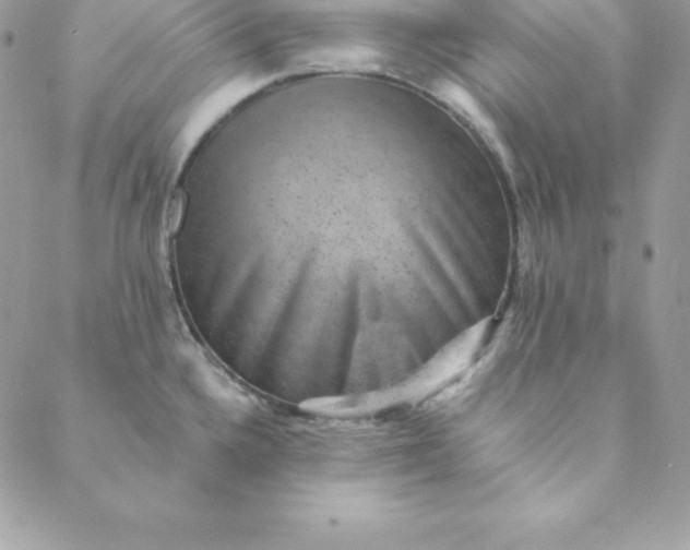 X0000088731336200706141628