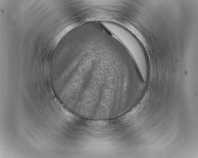 X0000088731337200706141628