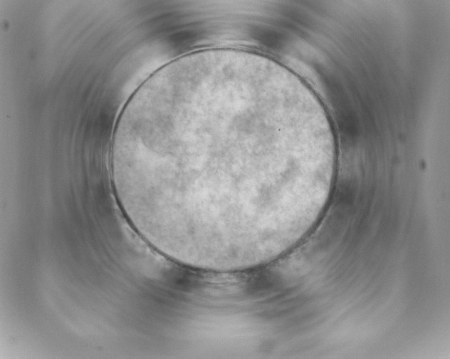 X0000088731338200706141628
