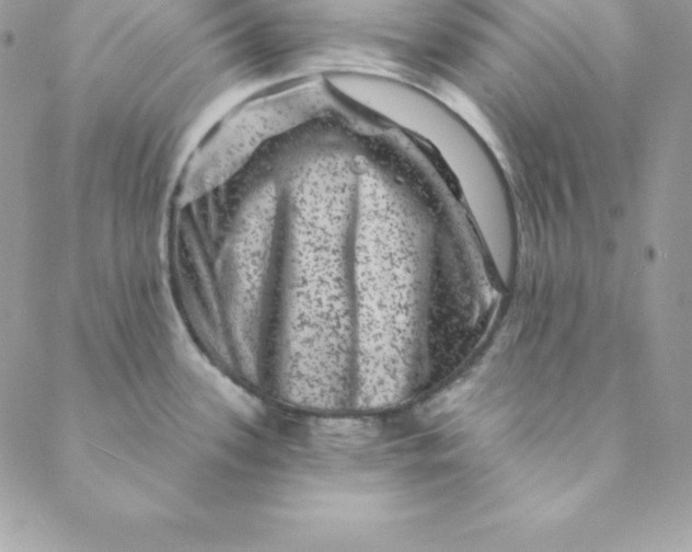 X0000088731339200706141628