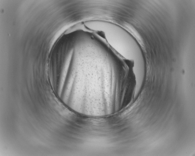 X0000088731340200706141628
