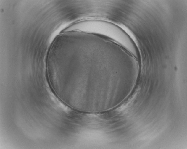 X0000088731341200706141628