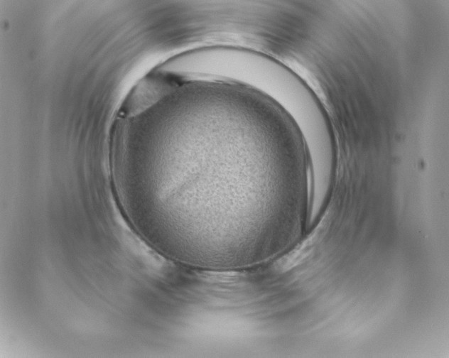 X0000088731342200706141629