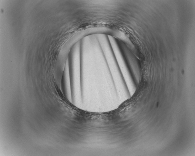 X0000088731345200706141628