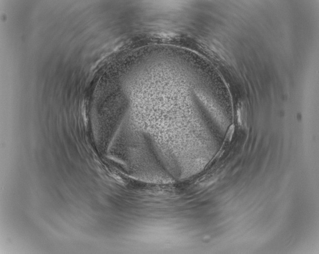 X0000088731347200706141628
