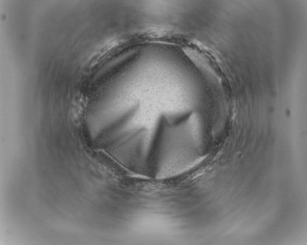X0000088731349200706141628