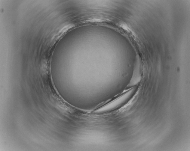 X0000088731353200706141628