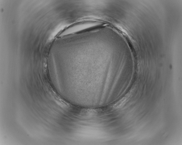 X0000088731355200706141628