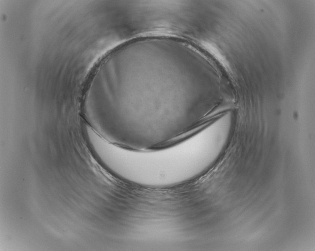 X0000088731356200706141628