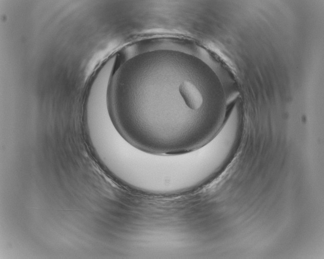 X0000088731357200706141628