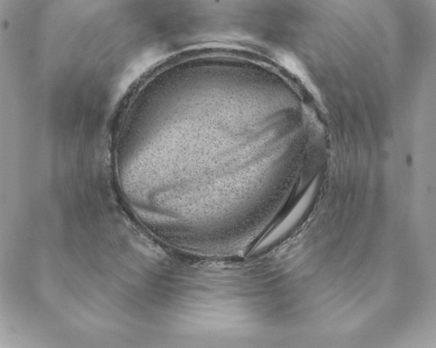X0000088731360200706141628