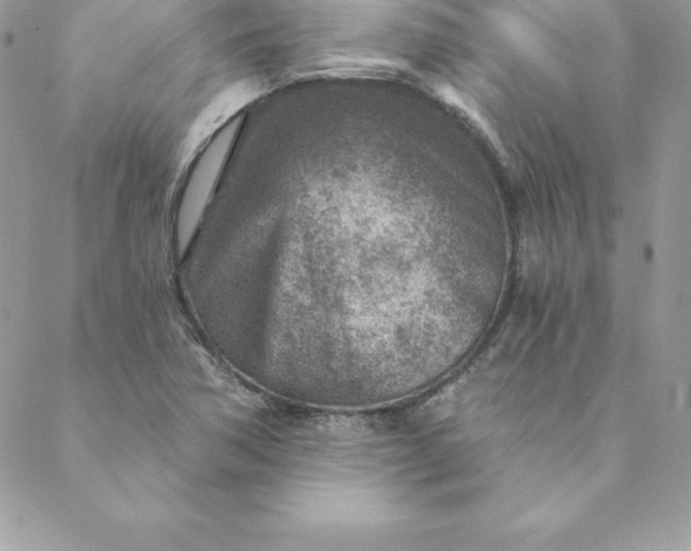 X0000088731362200706141627