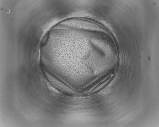 X0000088731366200706141627
