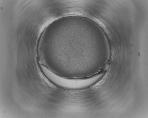 X0000088731373200706141627