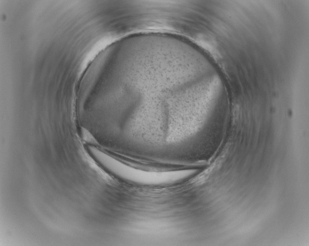 X0000088731374200706141627