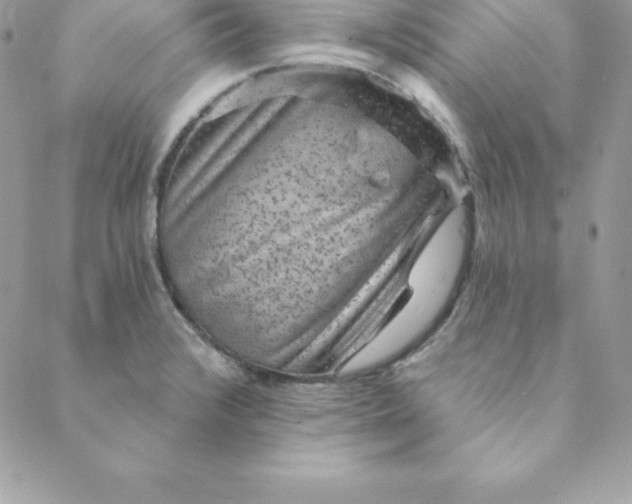 X0000088731376200706141627