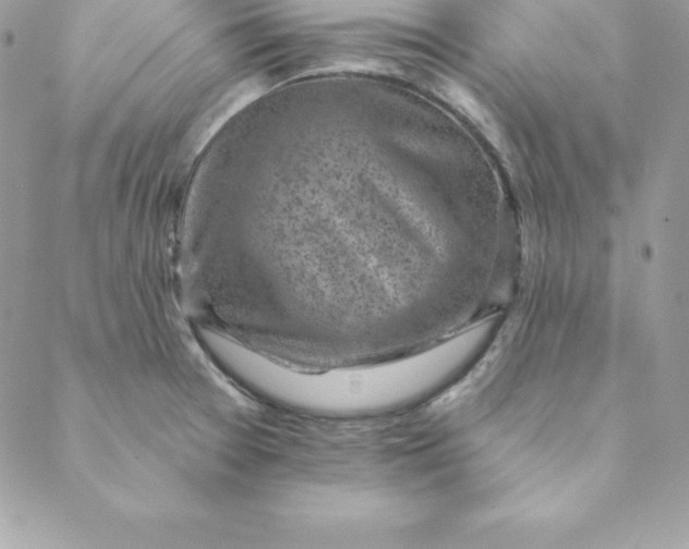 X0000088731377200706141627