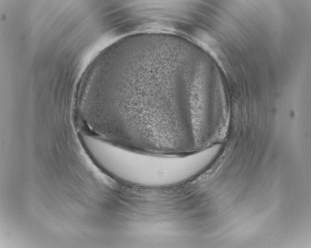 X0000088731379200706141627