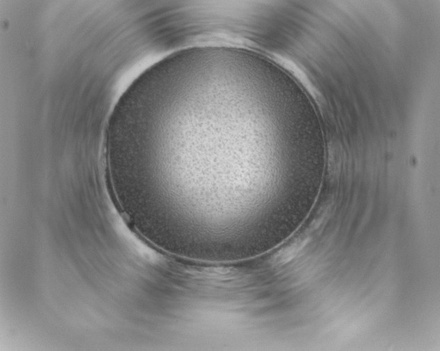 X0000088731387200706141627