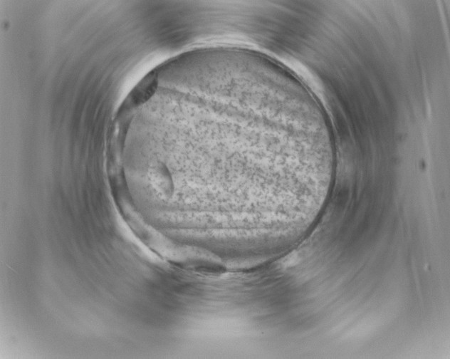X0000088731390200706141627