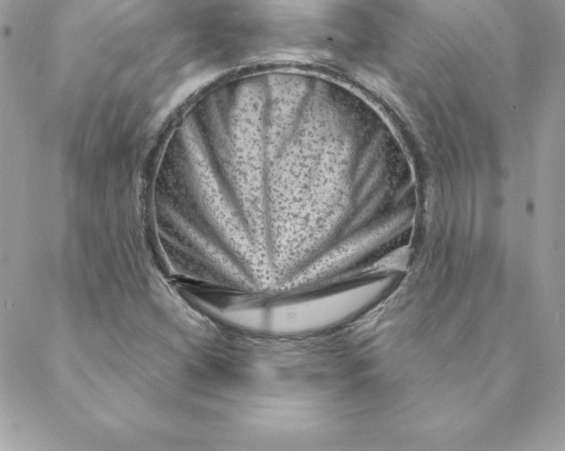 X0000088731404200706141626