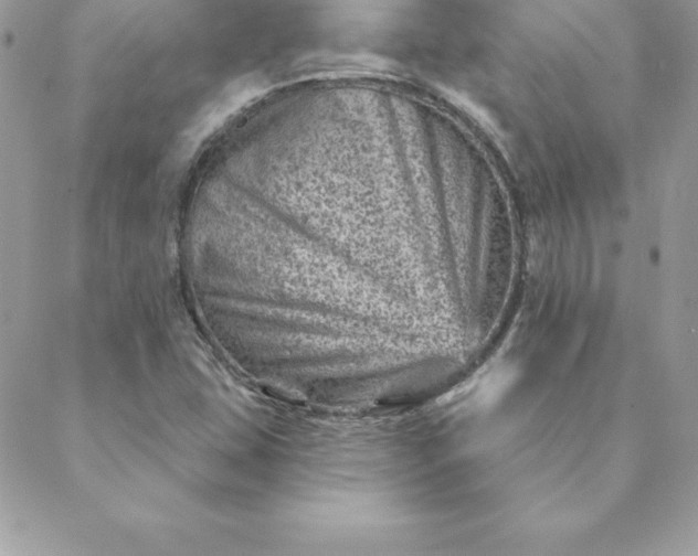 X0000088731407200706141626