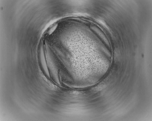 X0000088731412200706141627