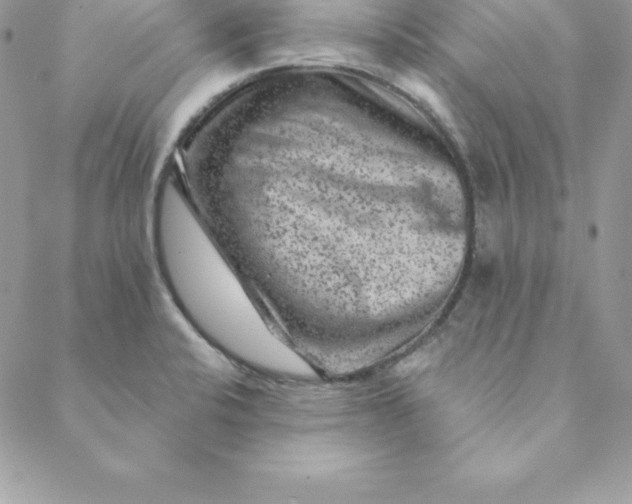X0000088731424200706141627