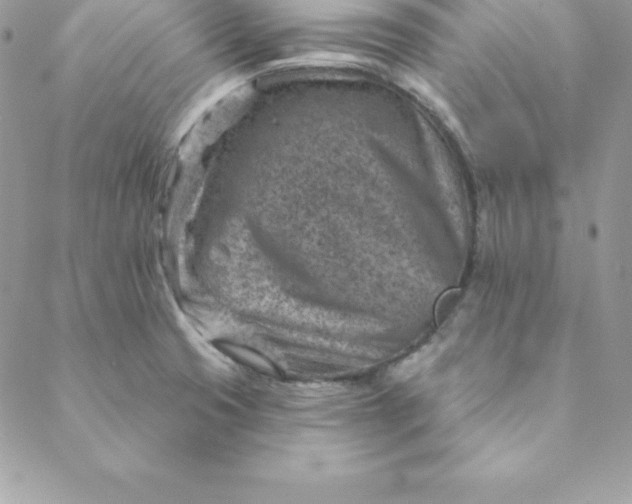 X0000088731425200706141627