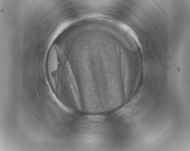 X0000088731429200706141627