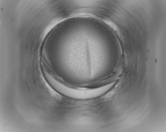 X0000088731430200706141627