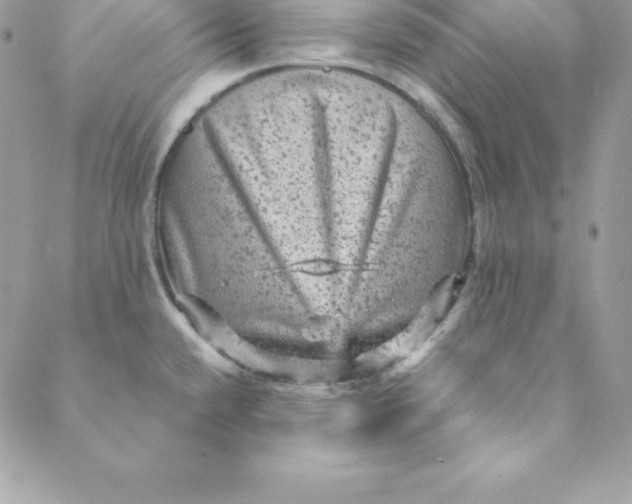 X0000088731432200706141627