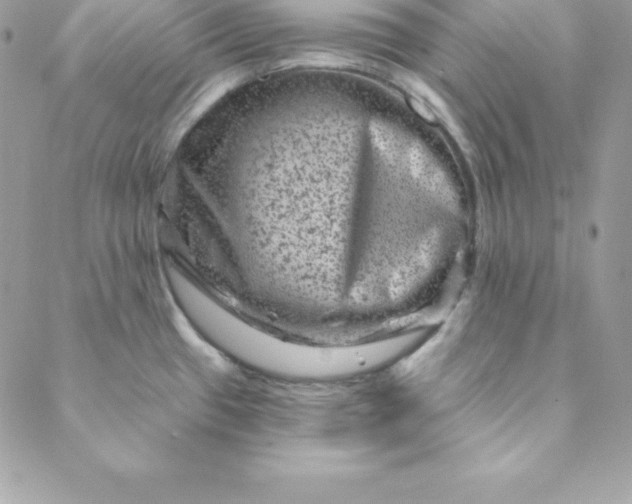 X0000088731433200706141627