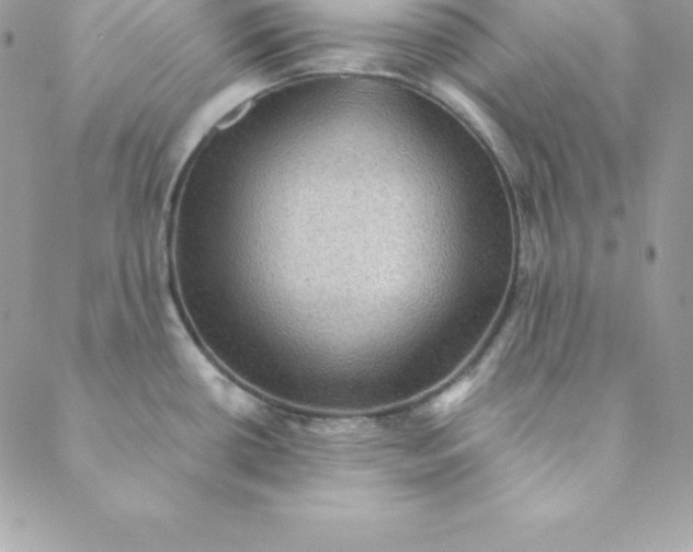 X0000088731434200706141627