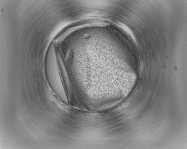 X0000088731435200706141627