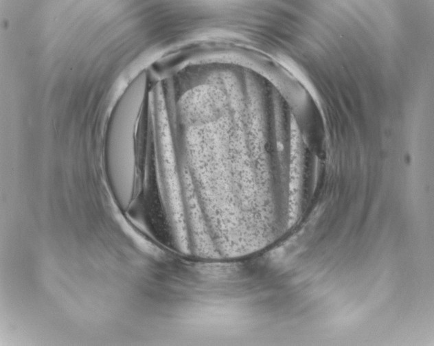 X0000088731437200706141627