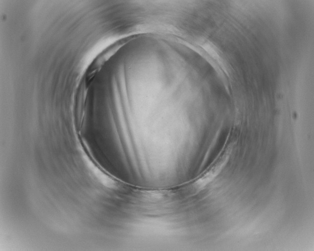 X0000088731438200706141627