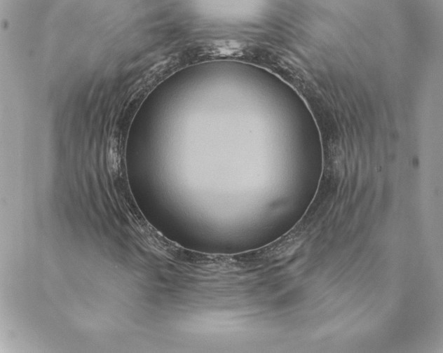 X0000088731442200706141626