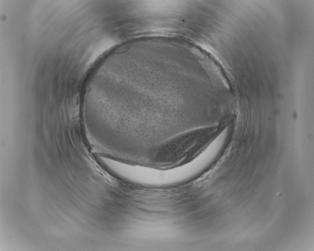 X0000088731450200706141626