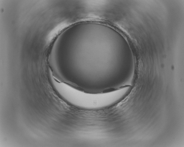X0000088731455200706141626