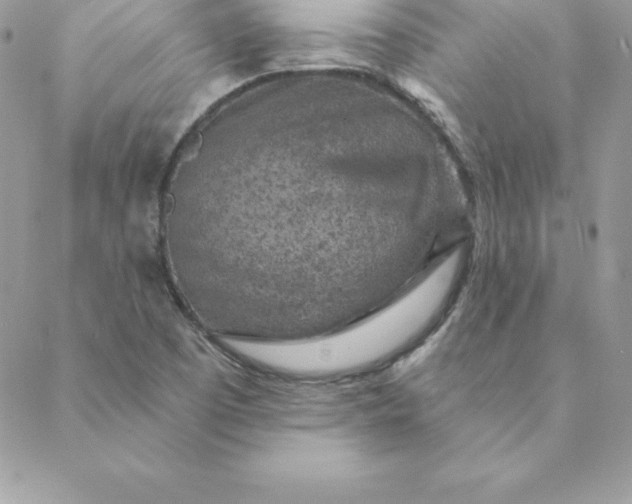X0000088731457200706141626