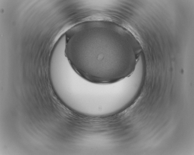 X0000088731465200706141626