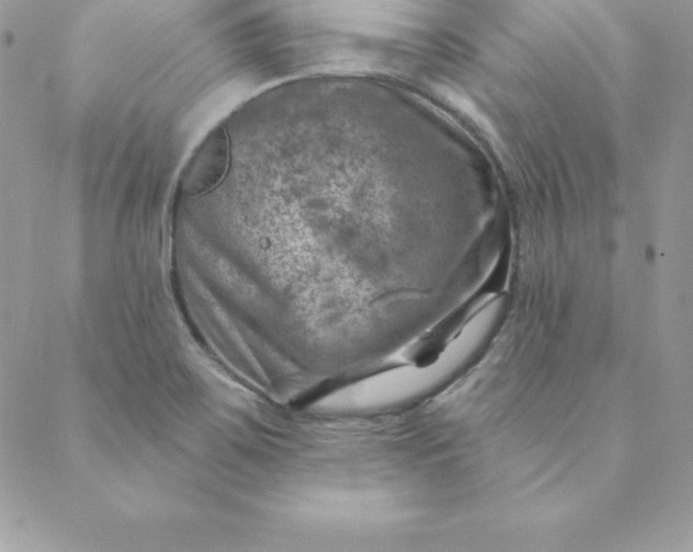 X0000088731467200706141626