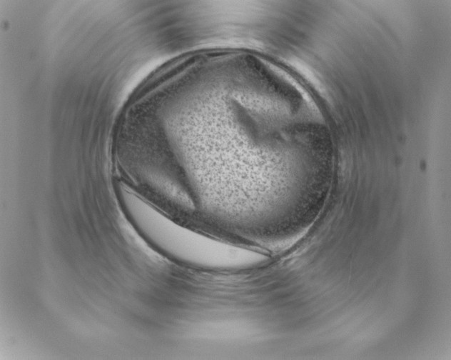 X0000088731468200706141626
