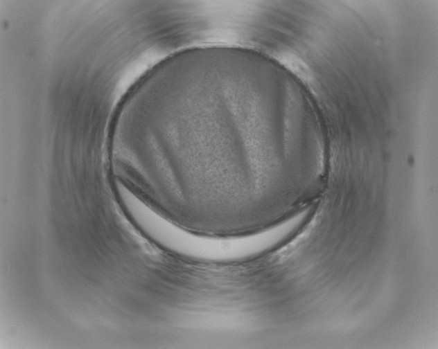 X0000088731469200706141626