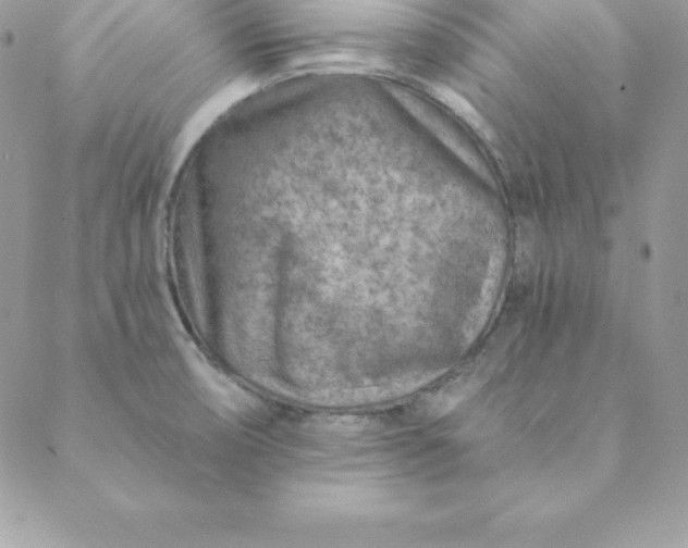 X0000088731474200706141626
