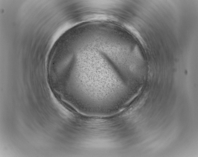 X0000088731475200706141626